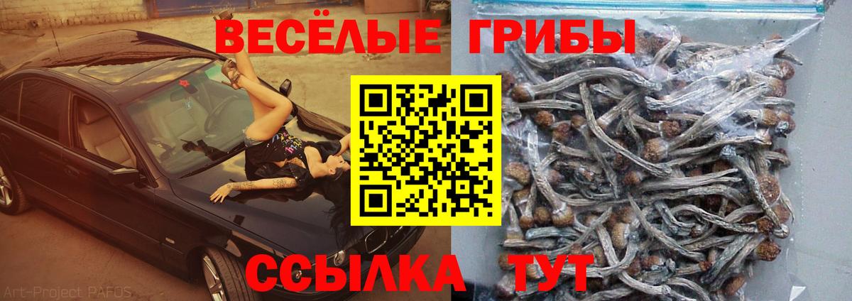Киржач  Галлюциногенные грибы Magic Shrooms  Вход с VPN 