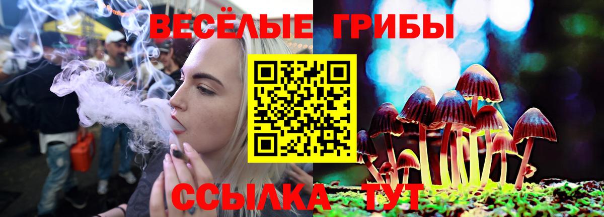 Галлюциногенные грибы ЛСД Киржач